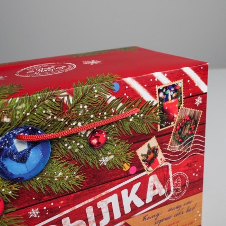 Package - New Year's Parcation, 28 x 20 x 13 cm, New Year-3