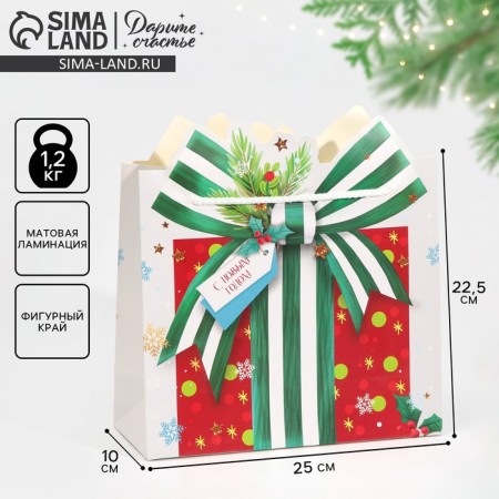 Package Gift "Gift", 25 x 26 x 10 cm, New Year