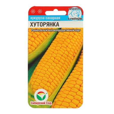 Sugar corn "Khutorinka", 6 pcs.-1