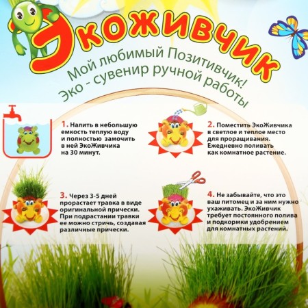 Growing grass Eco -Zhivchik "Santa Claus"-5