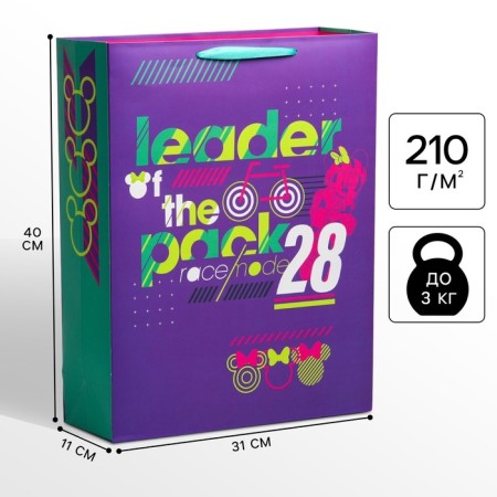 Gift package, 31x40x11 cm, packaging, Mickey Mouse