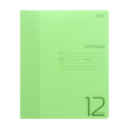 Notebook 12 sheets in the green cage, plastic cover, block 65 g/m2