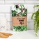 A set of kitchen towels of the share "Private", 35x60cm-2pcs, 100% cotton