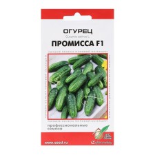 Seeds of cucumber 