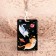 Case for passing "Cats in space"