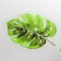 Stickers for creativity "Leaves in the Bank" set 35 pcs 12.5x9.1 cm