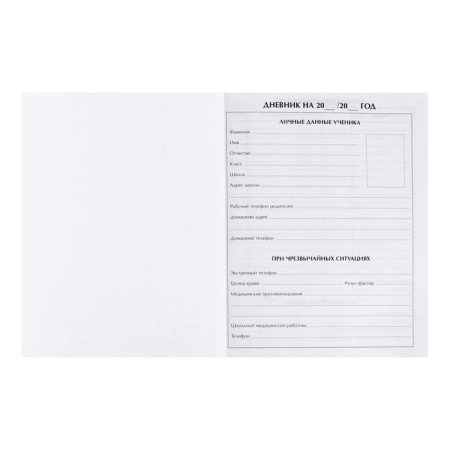 Universal diary for grades 1-11, "Earth from Cosmos", solid cover 7BC, glossy lamination, 40 sheets-4