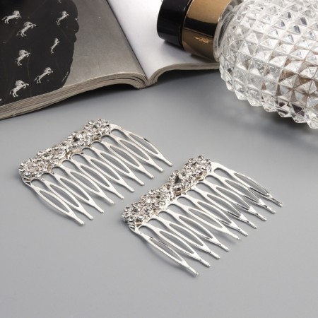 Hair crest "Medea", set 2 pcs., Balt, 5 × 4 cm, silver