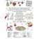 My funny New Year! Labyrinths, games, coloring, finding and all the best pastime!