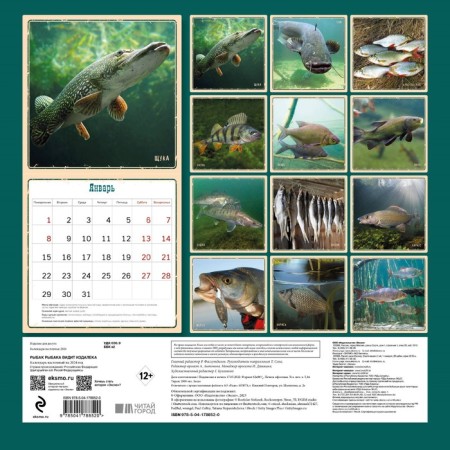 Birds of a feather flock together. Wall calendar for 2024, 30x30 cm-1