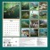 Birds of a feather flock together. Wall calendar for 2024, 30x30 cm