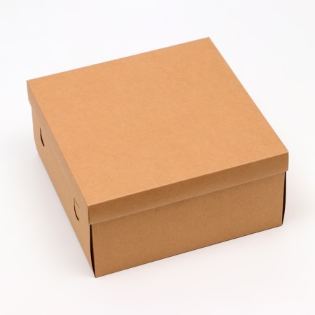 The box is folding, cover is, craft, 25 x 25 x 12 cm-1