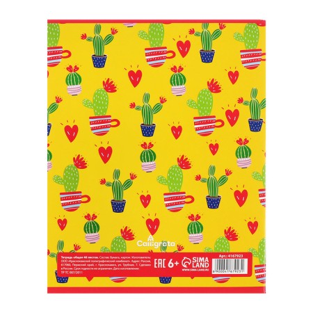 A set of notebooks of 5 pieces, 48 ​​sheets in the Calligrata cactus cage, covered cardboard, offset block-8