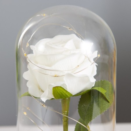 Nightnik Sobe "Rosa White" Led 3aaa 10x10x20 cm Risalux-4