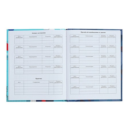 Universal Dodevink 1-11 Grade "Diary of a Russian schoolboy", 48 sheets, a solid cover, glossy lamination, liesa, an offset unit-10