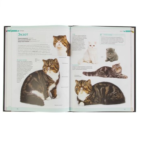 Cats. The most complete illustrated encyclopedia. Dudnikova S.S., Esualenko O.V.-3