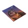 Universal diary for grades 1-11 wolf and keys, solid cover, glossy lamination, cheat sheet, 48 sheets