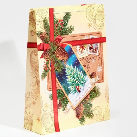 Laminated vertical package “Happy New Year!”, L 28 x 38 x 9 cm, New Year-2