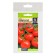 Siberian grown -up tomato seeds, set 5 pcs