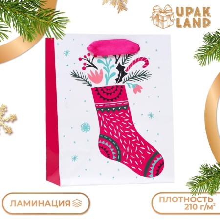 Laminated "New Year's toe" package 11.5 x 14.5 x 6 cm-2