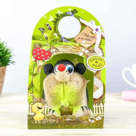 Growing gift grass "Hedgehog"-14