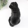 The piggy bank "Cat black color" is 31.5 cm height, width 16 cm, length 24 cm.
