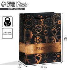 Package Gift Laminated Vertical, Packaging, Steel, MS 18 x 23 x 10 cm