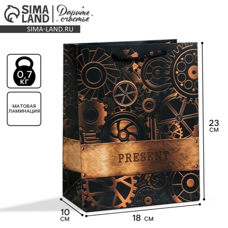 Package Gift Laminated Vertical, Packaging, Steel, MS 18 x 23 x 10 cm