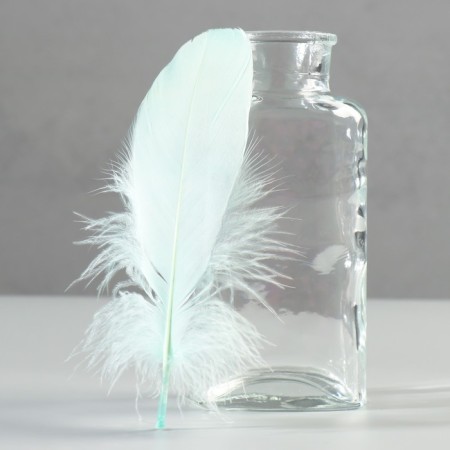 A set of goose feathers 13-18 cm, 20 pcs, sea wave