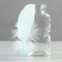 A set of goose feathers 13-18 cm, 20 pcs, sea wave
