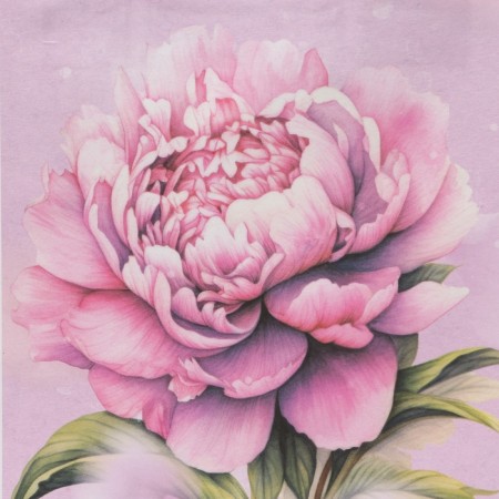 Gift Kraft "The Most Beautiful" 15 x 21 x 8 cm, 120 g/m²-1