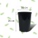 Pot for seedlings, for roses, 7 l, d = 22 cm, h = 26 cm, black, Greengo