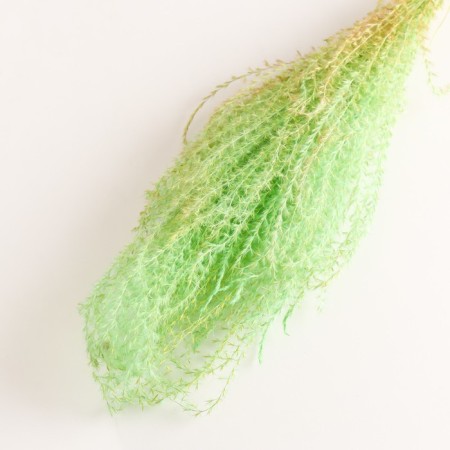 Set of dried flowers "Miscantus", banch 3-5 pcs, length 60 (+/- 6 cm), green-2