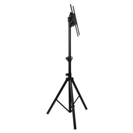 ARM Media TR-Stand-1 Black 26 "-55" Max.35kg floor is fixed 107046-3