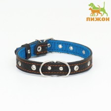 Collar leather reinforced with a kapron with a half-ring, 55 x 2.5 cm, Osh 27-53 cm, black