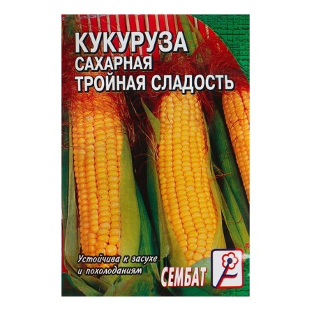 Sugar corn seeds "Triple sweetness", 5 g-2