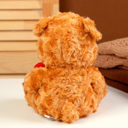 Soft toy "Bear", with heart, 18 cm, brown color-3