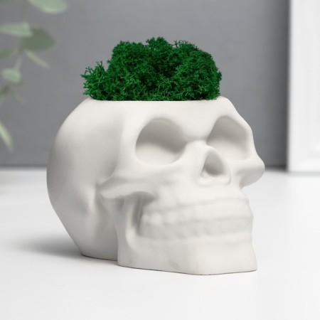 Concrete Kashpo "Skull" with moss 7x11 cm white (moss green stabilized)-1