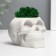 Concrete Kashpo "Skull" with moss 7x11 cm white (moss green stabilized)
