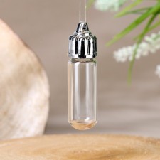 The basis for creativity and decor “A bottle with a suspension on the lid”, 3 ml, the color of silver