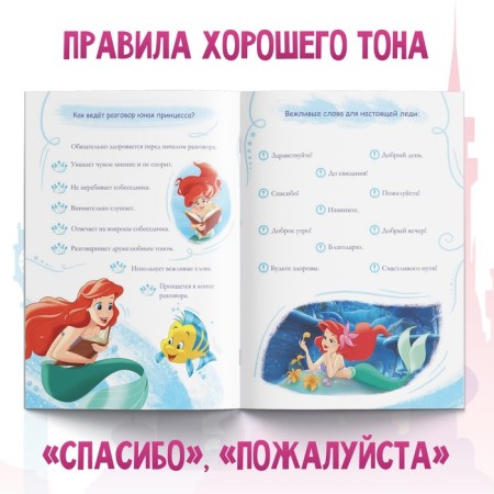 The training book "Rules for the Beautiful Princess", 20 p., A5, princesses-1