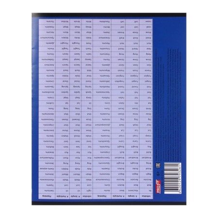 An objective note 48 sheets in the Error cage "English language", covered paper cover, offset block-4