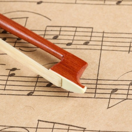Music Life 1/8, 52 cm violin-2