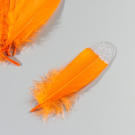 A set of goose feathers 15-20 cm, 10 pcs, orange with silver crumb-2