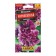 Seeds Shtok-Rosa Royal Lilac ONE CO/P 0.1 g