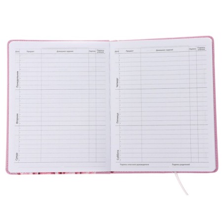 Universal diary for grade 1-11 Super Cool, hard cover, artificial leather, foam rubber, lies, 80 g/m2-4