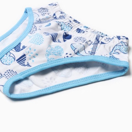 A set for a boy (T -shirt, panties), blue color, height 122 cm-2