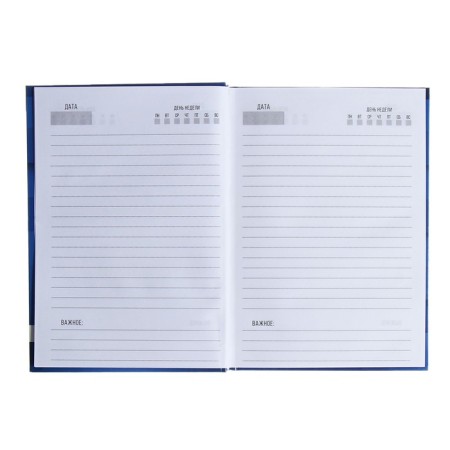 Deliciper of Leduced A5, 128 sheets "Blue", hard cover, glossy lamination-2