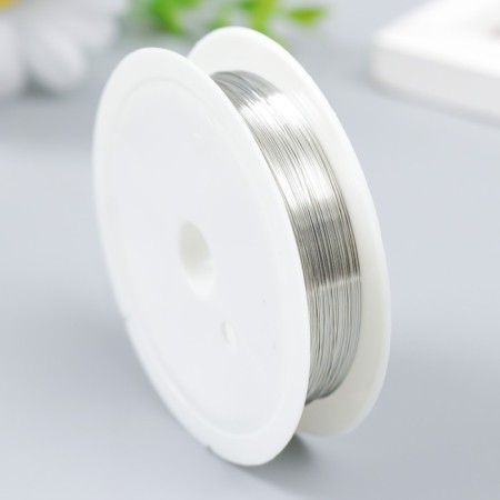 Wire for creativity "Astra" 0.3 mm, 10 m, silver