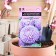 Flower seeds Astra "Lady Coral Lavender", one -year -old, an exclusive series, 0.05 g
